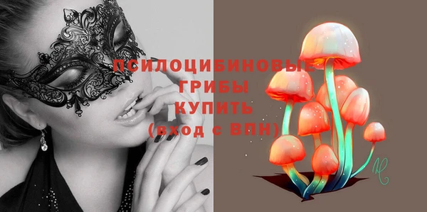 прущие грибы Верхний Тагил