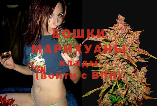 ГАЛЛЮЦИНОГЕННЫЕ ГРИБЫ Вяземский