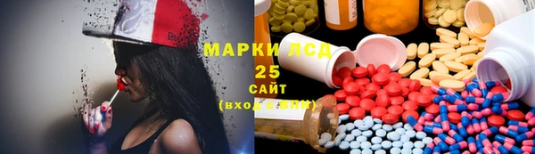 ГАЛЛЮЦИНОГЕННЫЕ ГРИБЫ Вяземский