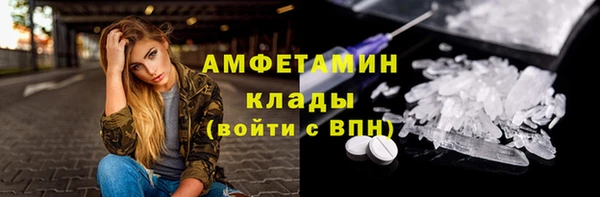 ГАЛЛЮЦИНОГЕННЫЕ ГРИБЫ Вяземский