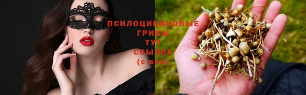 ГАЛЛЮЦИНОГЕННЫЕ ГРИБЫ Вяземский