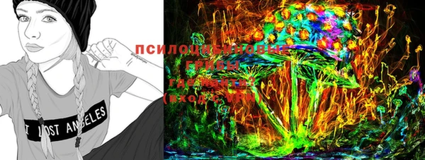 ГАЛЛЮЦИНОГЕННЫЕ ГРИБЫ Вяземский