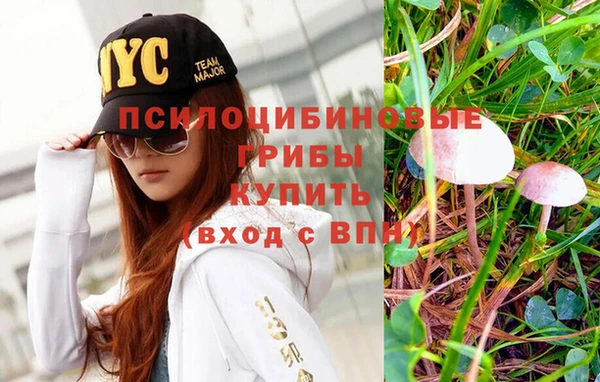 spice Вязьма