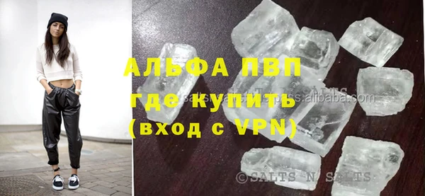 ГАЛЛЮЦИНОГЕННЫЕ ГРИБЫ Вяземский