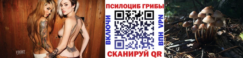 Псилоцибиновые грибы ЛСД shop состав Звенигово